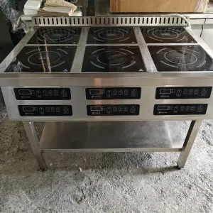 Плита індукційна на 6 конфорок Tehma по 3.5 кВт