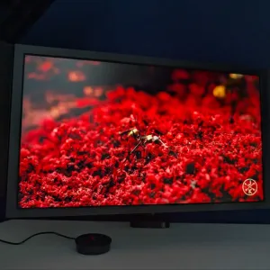 Монітор 24.1" BenQ Zowie XL2566X+ Dark Grey (TN 400Hz) | МАГАЗИН | Гарантія 90 днів