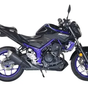 Японський Мотоцикл Yamaha MT-25 2018  в Арт мото Житомир