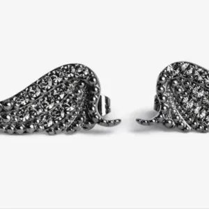 Серьги  сережки Zadig & Voltaire