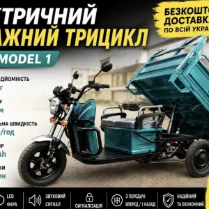Електротрицикл 800W Муравей | Вантажний 450 кг | Доставка безкоштовно
