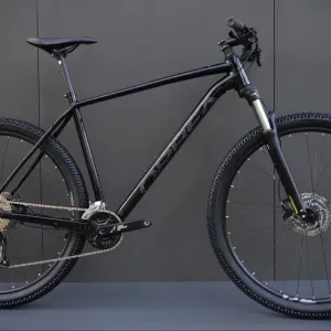 Велосипед гірський Orbea Onna Altus