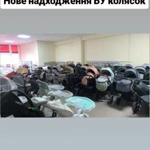 Дитяча коляска Adamex Anex Carrello Bair