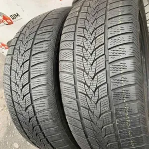 Шини 225/50 R18 Tristar зима 6,5  мм
