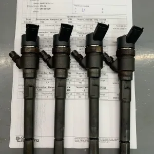 Форсунки Bosch 0445110254 Hyundai Grandeur TG, Santa Fe 2.2 CRDI