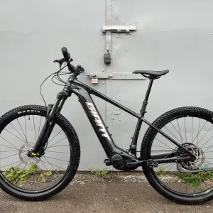 Електровелосипед Giant Fanthom E 29