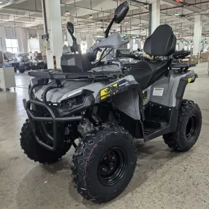 Квадроцикл Mikilon Hammer 250 L Pro