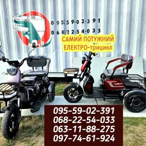 СТОКМОТО:Трехколесный электротрицикл ТОП-продаж Dominator Самий ПОТУЖНИЙ трехколесный колесо"10"электротрицикл Отправка по Украине трицикл стокмото