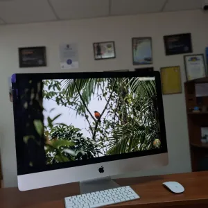 Radeon Pro 5300 4GB/Apple iMac A2115 27" Retina 5K,2020/i5-10600/16GB/512/Моноблок Потужний Гарний Для роботи Бізнесу Навчання Гарантія Комплект