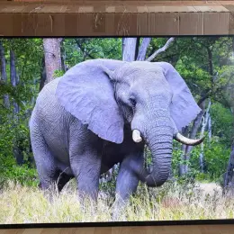 Телевізор Samsung 55U8079F 55" 4K UHD Smart TV Tizen 2025