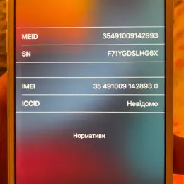 iPhone 7 заблокований під MDM