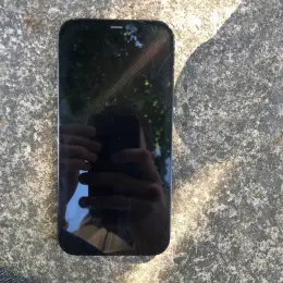 iPhone 12 Pro Max 256GB