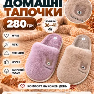 Мʼякі тапочки з мишкою