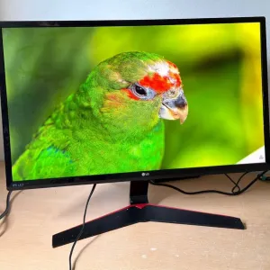 Ігровий монітор LG / 23,8″ / IPS / Full HD / 75 Гц