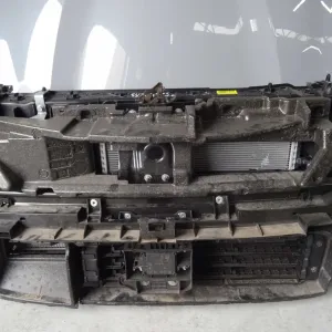Панель передня з розборки Renault Clio V Espace Captur Megane IV Scenic V Vel Satis ZOE Twingo Kadjar Talisman інші Рено шрот запчастини з автошроту