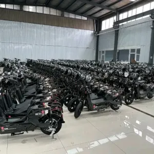 ‼️Електроскутери Electric Scooter-600 Вт СКЛАД ЦІНА ‼️