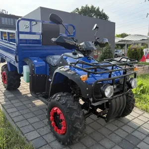 NEW FORTE ATV 300BS-T Доставка/Гарантія