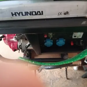 Бензиновий генератор Hyundai HG3000