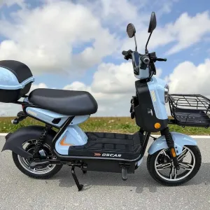 Електроскутер Oscar Rich 1000W 60V 25Ah сірий двомісний електробайк