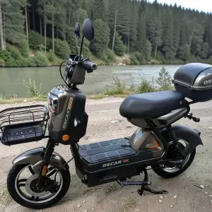 Електроскутер Oscar Rich 1000W 60V 25Ah графіт двомісний електробайк