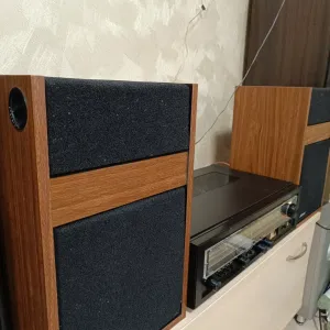 Акустична система Bose 301 Series I — це легендарні вінтажні колонки