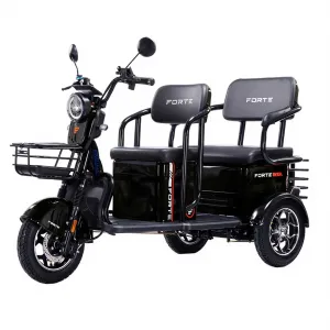 Електротрицикл FORTE TRANSIT-WN1072G