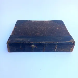 1899 рік Травник величезний