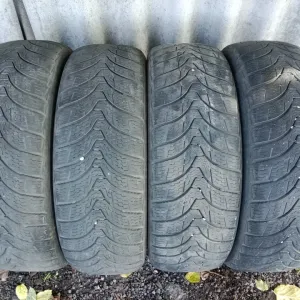 Шини всесезон 205/60-R16 Premiorri