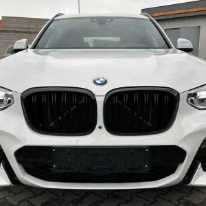 Решітки радіатора bmw x1 g01 \ x4 g02 (17-20) дорест тюнинг ноздрі