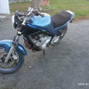 Yamaha Diversion  600