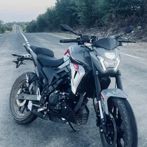 Lifan sr 220 2026