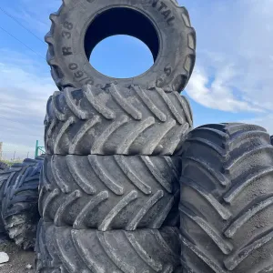 Шини 800/70R38 BKT до С/г техніки