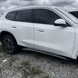Двері BMW X1 U11