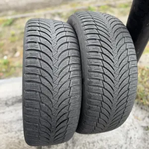 Зимові шини Nexen 205/55 R16