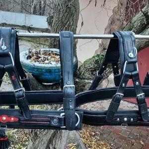 Шлея шкіряна для коня від 2500