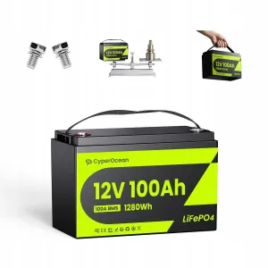 LiFePo4 акумулятор CyperOcean 100Ah 12V. BMS - 100A. Літій залізофосфатний акумулятор 1280Wh. Железофосфатный аккумулятор