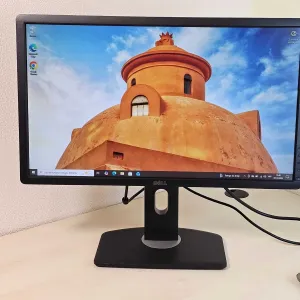 Монітор DELL P2412H 24" Full HD/VGA/DVI