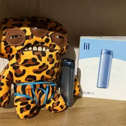 IQOS lil solid Es сірий