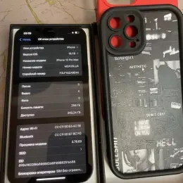 iPhone 12 Pro Max 256GB